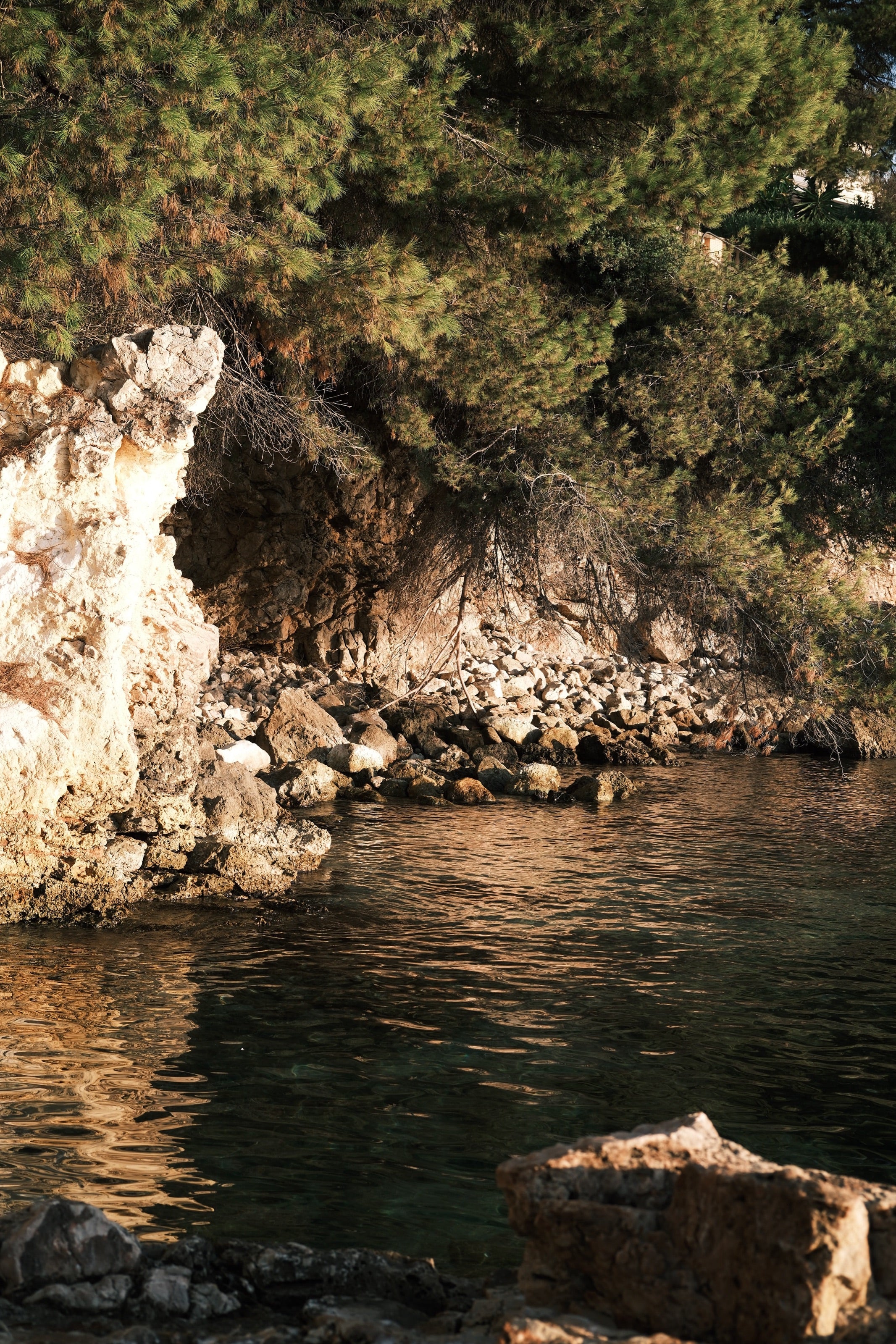 Cala de aguas tranquilas entre rocas y pinos con la luz cálida de la mañana